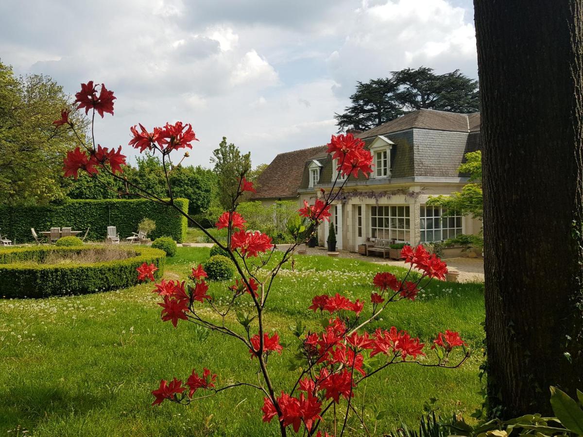 Bed and Breakfast La Taille De Biou Huisseau-sur-Cosson Zewnętrze zdjęcie