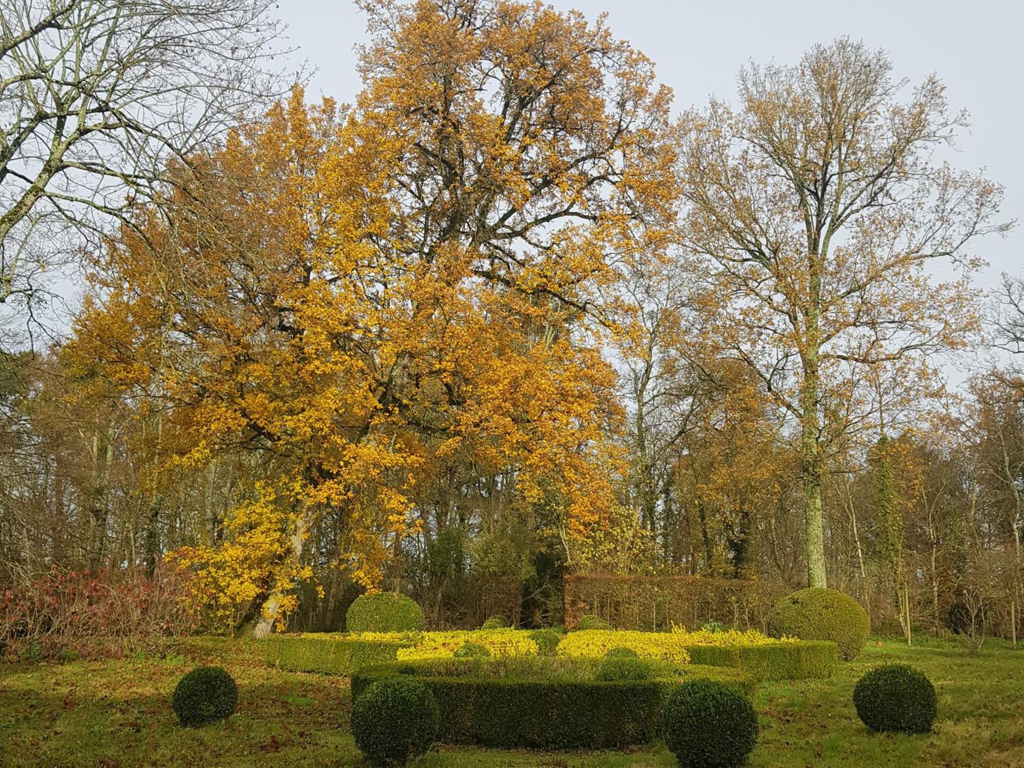 Bed and Breakfast La Taille De Biou Huisseau-sur-Cosson Zewnętrze zdjęcie